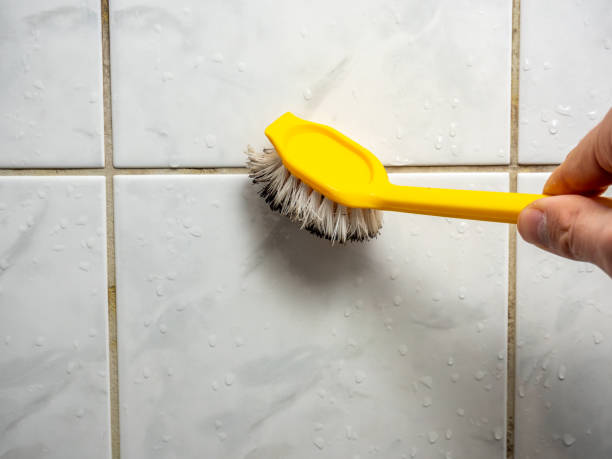 Best Localized Mold Remediation (e.g., coastal areas, humid climates) in Panaca, NV